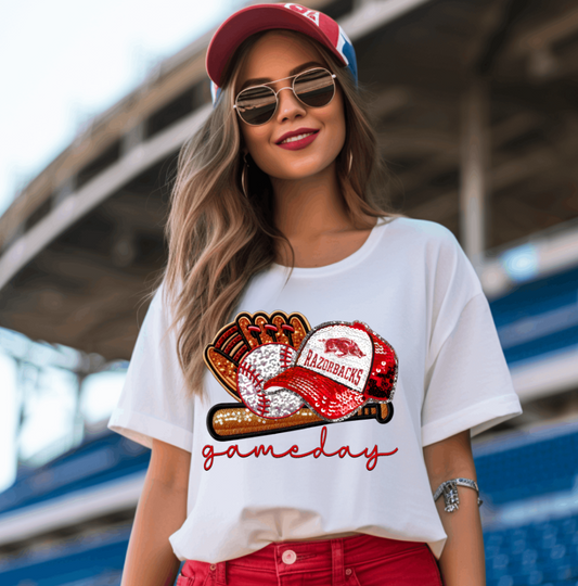 Razorback Baseball Gameday