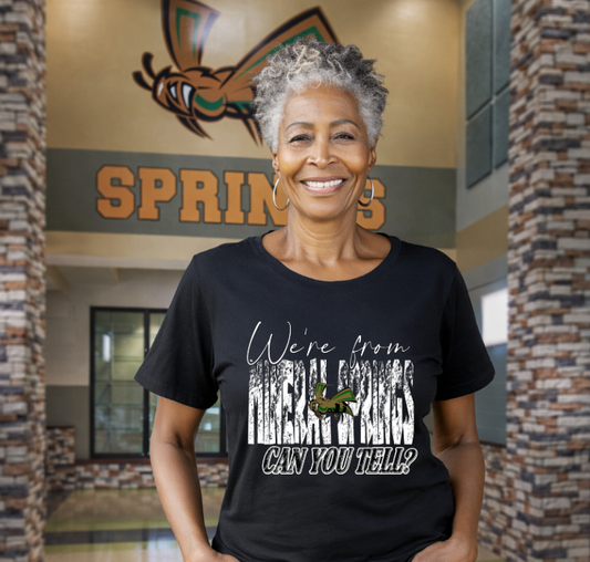 We're from Mineral Springs Hornets Shirt